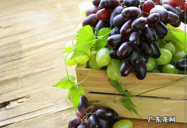 冬天吃什么水果比较好呢？