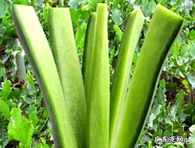 冬天吃什么水果比较好呢？