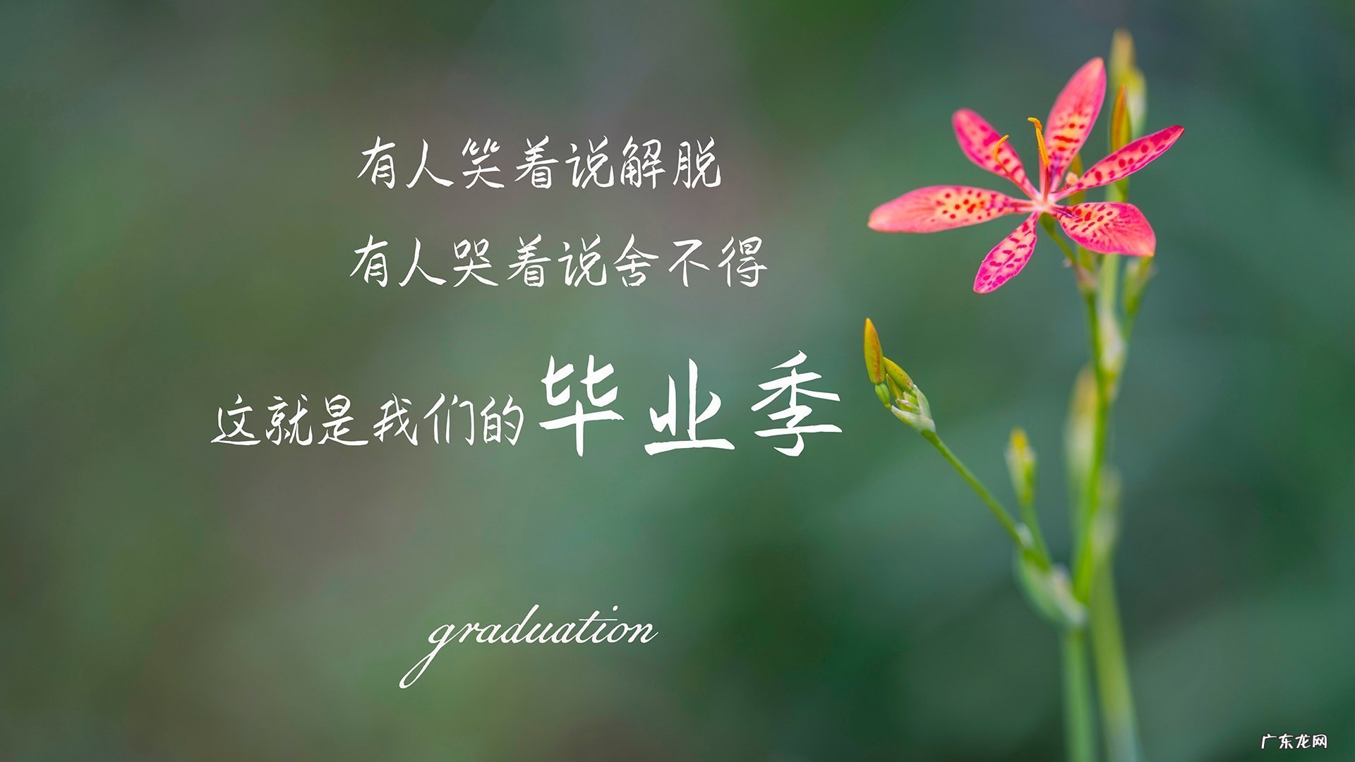 春季坐月子，哪些水果多吃不胖，还有利于身体恢复和宝宝发育？