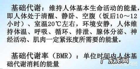 减脂期摄入量低于基础代谢 减脂时摄入量与基础代谢的关系是什么?
