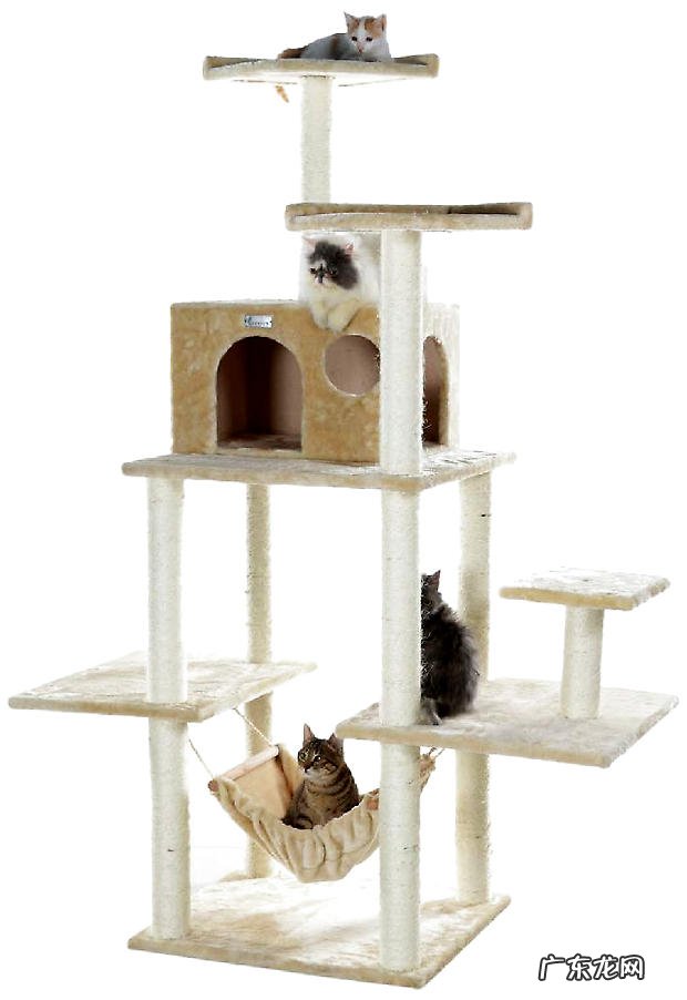 怎样保护和整理猫爬架