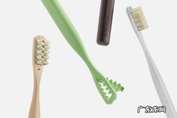 世界电动牙刷十大名牌 世界十大牙刷品牌