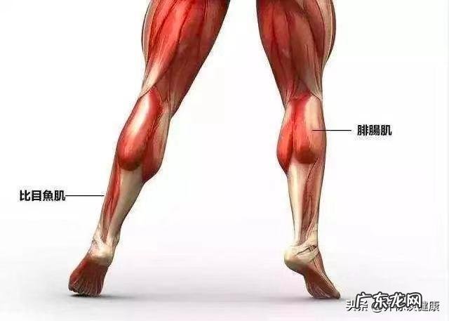 瘦下来了肚子的皮怎么办?