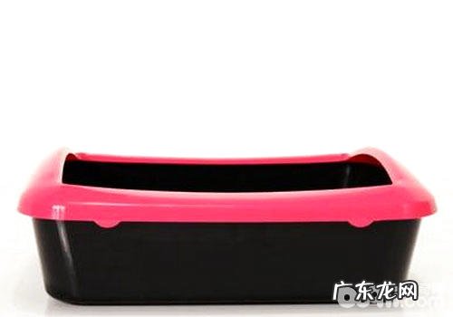 运用猫砂盆要注意哪些问题