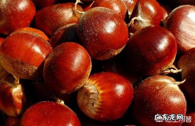 熟板栗冷冻过的怎么吃 板栗能冷冻吗？会有什么影响？