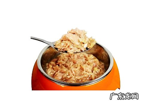 猫罐头是否必要