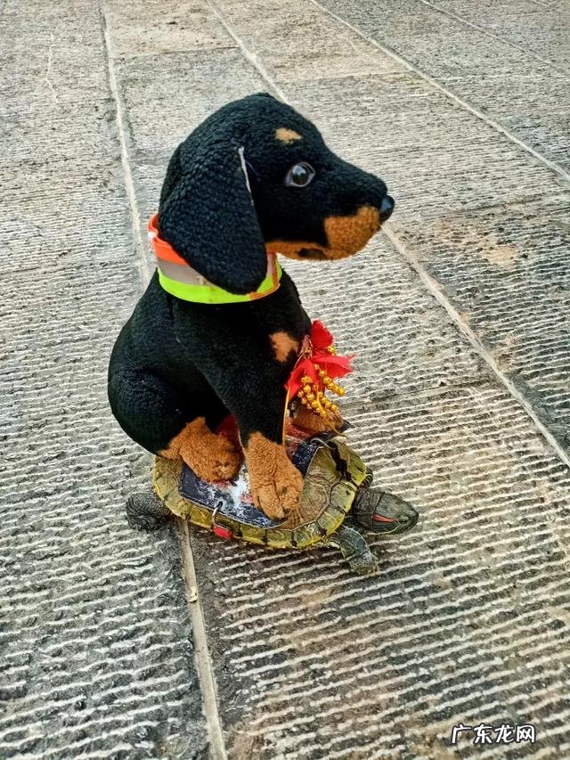 相思渡口原唱完整版女声?