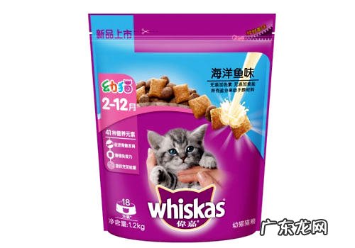 伟嘉猫粮挑选的四大误区
