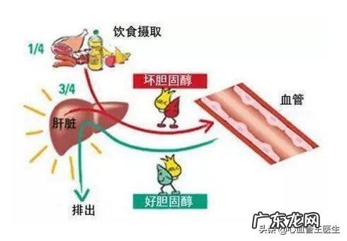 为什么吃的很清淡,胆固醇还“爆表”呢?