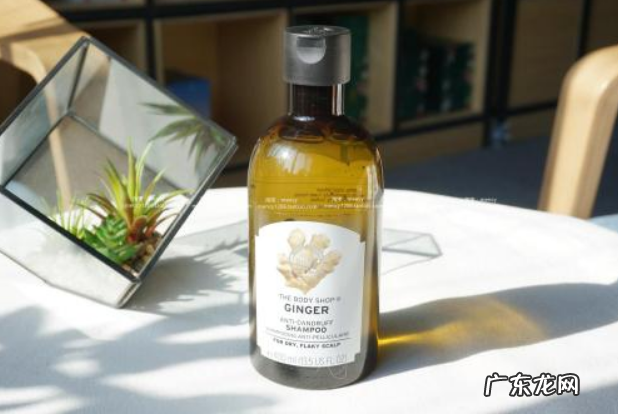 全球公认最好的男士洗发水 全球十大口碑最好的洗发水