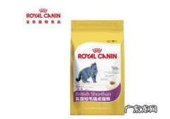 英短猫粮怎样挑选？