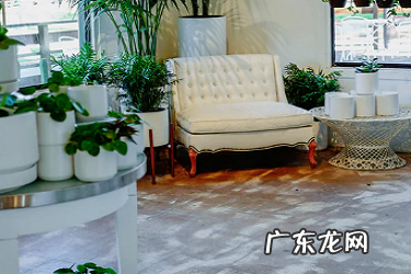 营商保怎么退出?如何运营店铺?