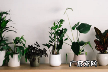 千牛如何分配客服?客服如何做好?