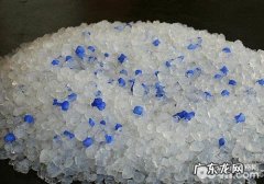 猫砂是怎样来的