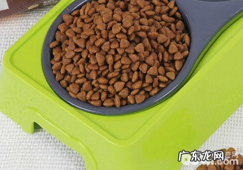 猫粮中的肉类副产品是什么