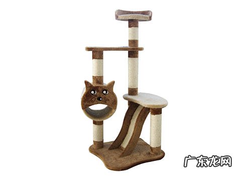 猫爬架用什么特色和功用