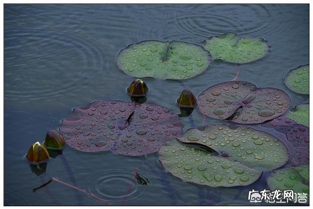 有哪些与《一曲红尘》的歌值得推荐？