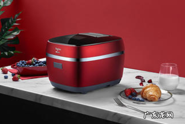 中国十大烤箱品牌 烤箱什么牌子好