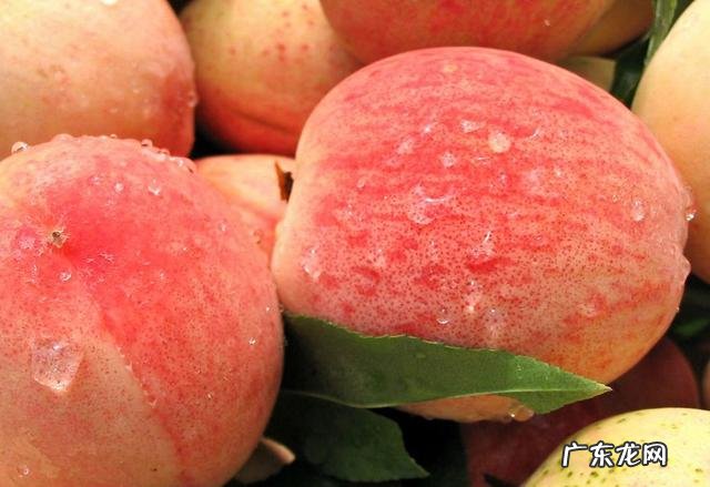 怎么样才能快速減掉五十斤?