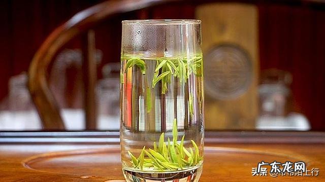 绿茶不能和什么食物一起吃?有哪些依据?