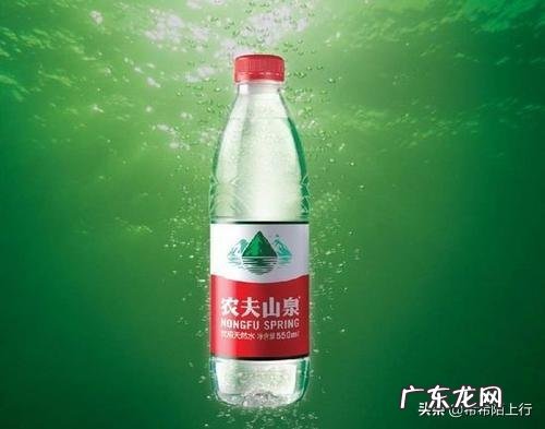 绿茶不能和什么食物一起吃?有哪些依据?