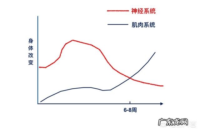 在家锻炼两个月,每天一小时,为什么肌肉没涨,体脂反而上涨了?