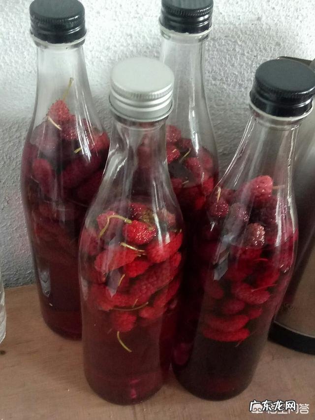 晚上喝桑葚酒的功效有哪些