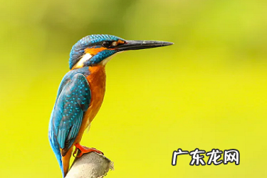 淘宝访客来源渠道怎么看?如何提升访客量?