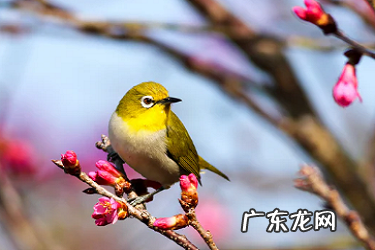 淘宝销量为0下架还是删除好?如何选择?