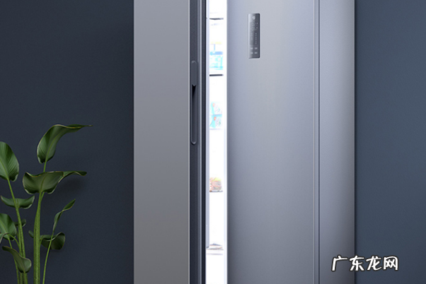 中国前十冰箱品牌 国产冰箱品牌质量排行榜