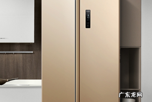 中国前十冰箱品牌 国产冰箱品牌质量排行榜