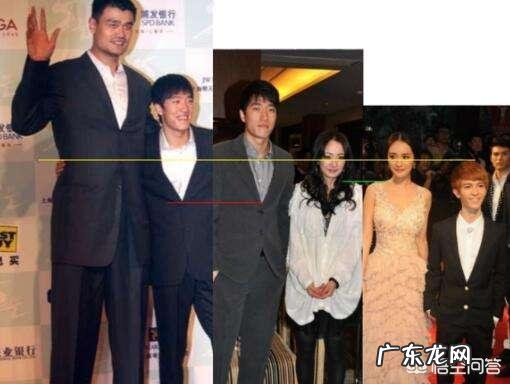 饰演神奇女侠的盖尔·加朵,是个怎样的演员