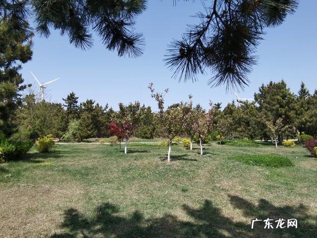 孩子在寒假期间体重超标遭老师体罚，该如何处理该老师？