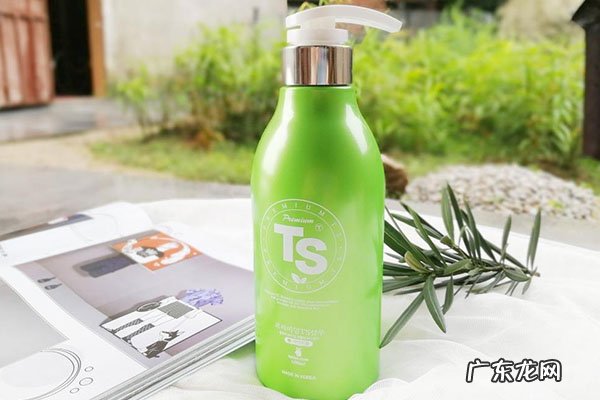 十大洗发水排行榜 韩国十大名牌洗发水