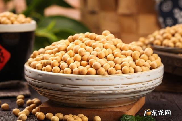 儿童早熟的元凶-儿童早熟的真相