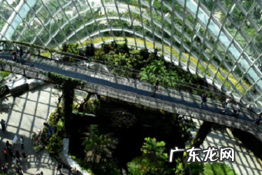 走淘宝客被降权应该怎么申诉？如何恢复？