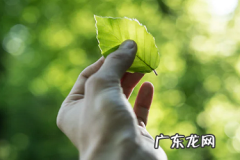 淘宝新手怎么快速引爆流量？有好货选品规则是什么？