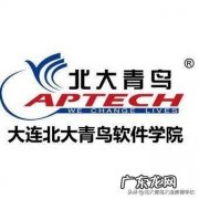 请问大家北大青鸟怎么样啊