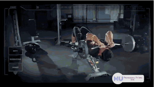 哪些动作可以让我手臂快速地增粗?