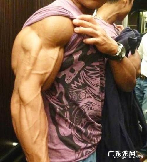 哪些动作可以让我手臂快速地增粗?