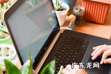 淘宝的搜索排名由什么决定的?规则是什么?