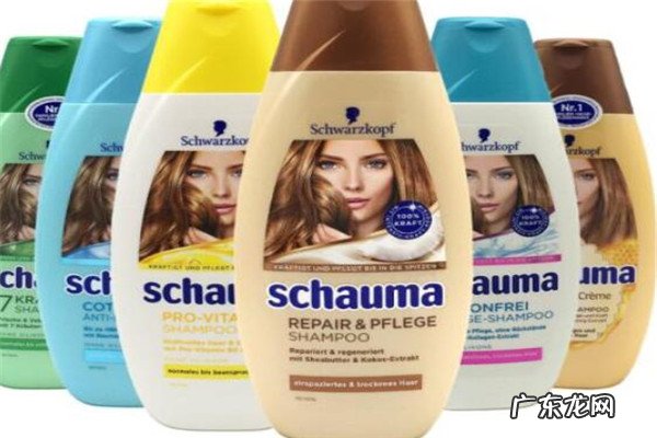 最好用防脱洗发水 世界十大洗发水