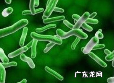 益生菌一般什么情况下服用，服用多长时间？