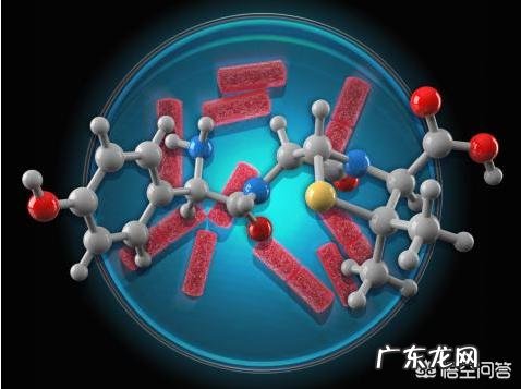 益生菌一般什么情况下服用，服用多长时间？