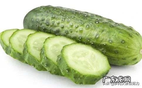 都说减肥要吃全麦面包,但百分百全麦的面包您真的愿意尝试吗?