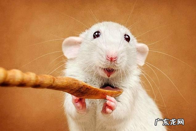 辟谷就是绝食吗?真的可以延年益寿吗?还能减肥?