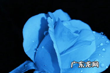 淘宝直播怎么和观众互动?有哪些技巧?