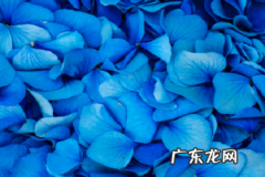 淘宝卖家怎么快速升信誉分？有哪些方法？