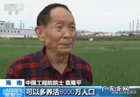 有人看不起袁隆平在汽车店只摸不买的行为,对此你怎么看?