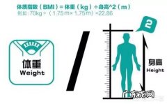 163㎝的男生，体重多少合适，体脂应该怎么减